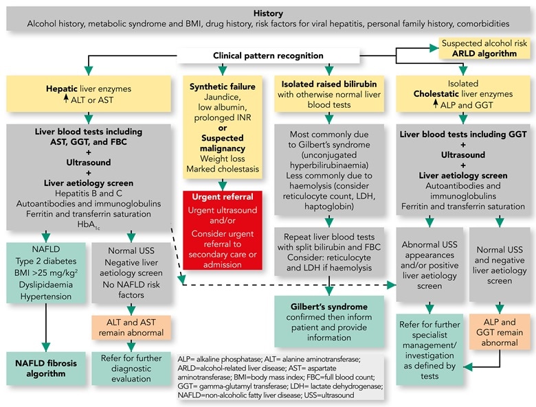 Liver Blood Tests How To Interpret Abnormal Results